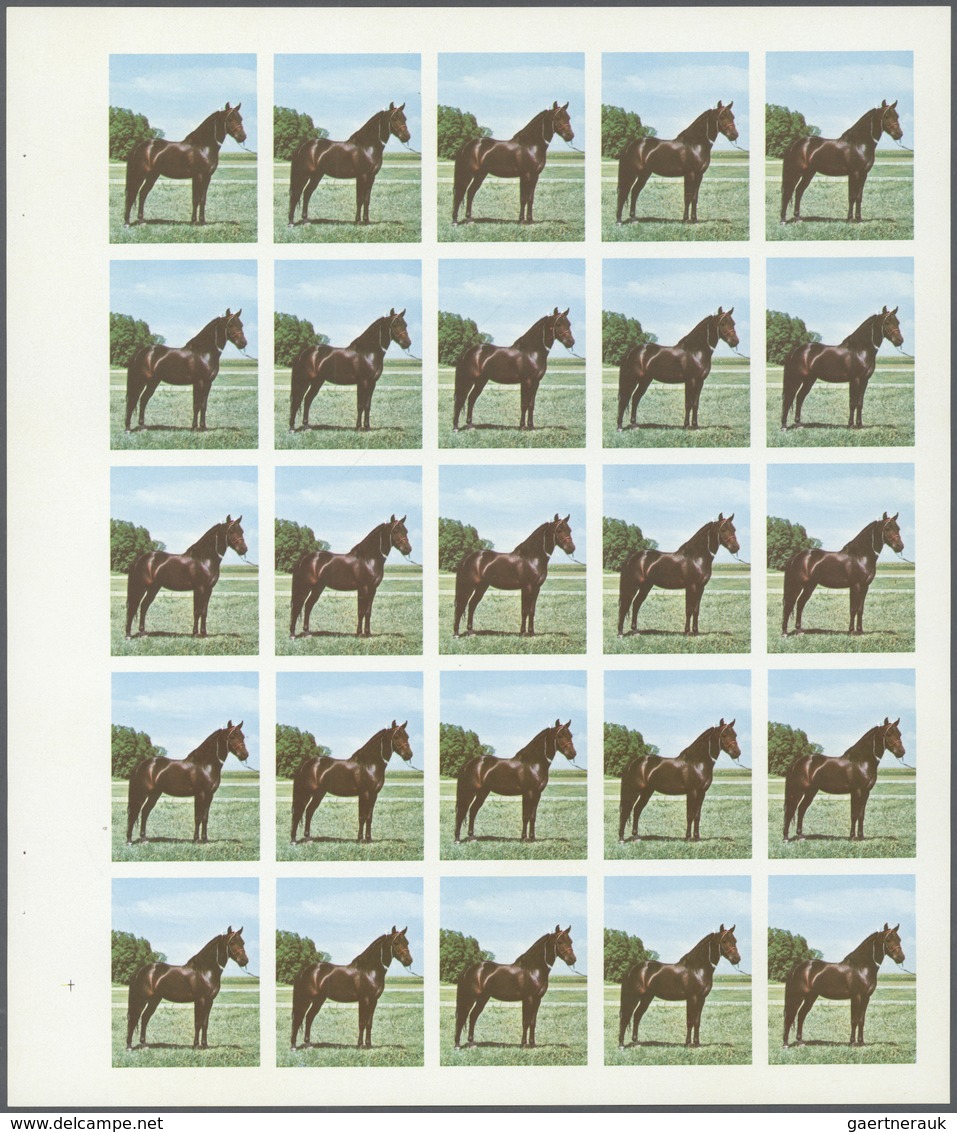 ** Thematik: Tiere-Pferde / Animals-horses: 1972. Sharjah. Progressive Proof (6 Phases) In Complete She - Chevaux