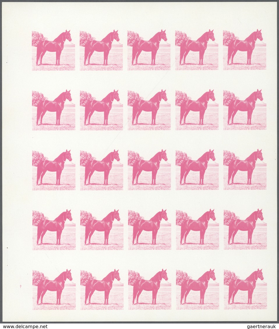 ** Thematik: Tiere-Pferde / Animals-horses: 1972. Sharjah. Progressive Proof (6 Phases) In Complete She - Chevaux