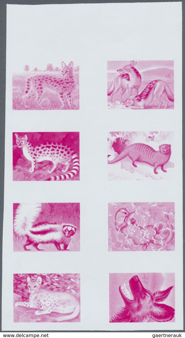 ** Thematik: Tiere-Raubtiere / Animals-predacious Cats: 1981, RUANDA: Carnivores Complete Set Of Eight - Andere & Zonder Classificatie