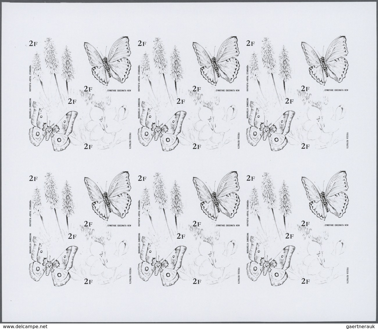 ** Thematik: Tiere-Schmetterlinge / Animals-butterflies: 1973, Burundi. Progressive Proof (6 Phases) Fo - Papillons