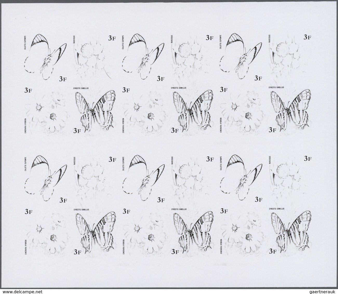 ** Thematik: Tiere-Schmetterlinge / Animals-butterflies: 1973, Burundi. Progressive Proof (6 Phases) Fo - Vlinders