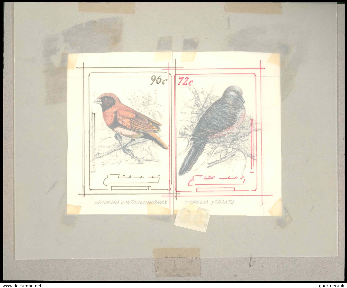 Thematik: Tiere-Singvögel / Animals-singing Birds: 1981, Aitutaki: BIRDS, Accepted Drawing "Braunbru - Passereaux