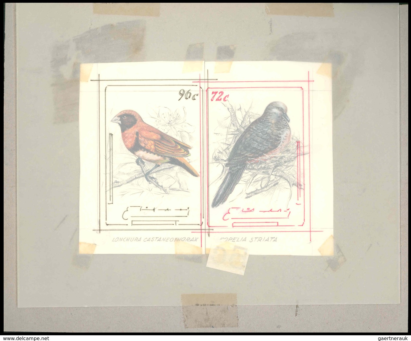 Thematik: Tiere-Singvögel / Animals-singing Birds: 1981, Aitutaki: BIRDS, Accepted Drawing "Braunbru - Zangvogels