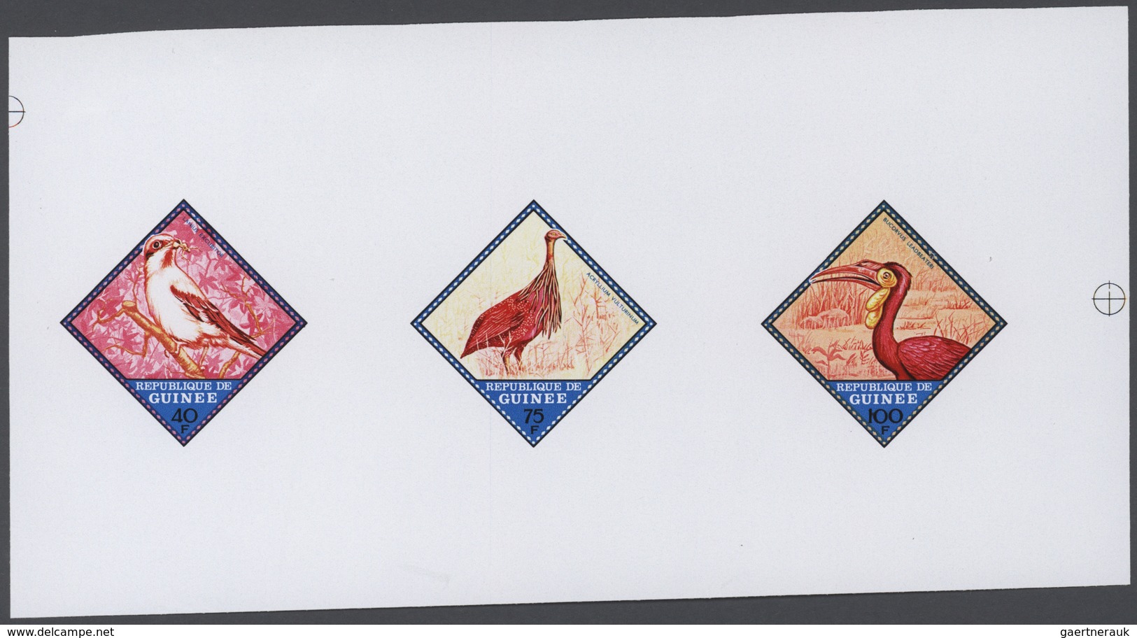 ** Thematik: Tiere-Vögel / Animals-birds: 1971, GUINEA: Domestic Birds Complete Set Of Nine Stamps In T - Andere & Zonder Classificatie