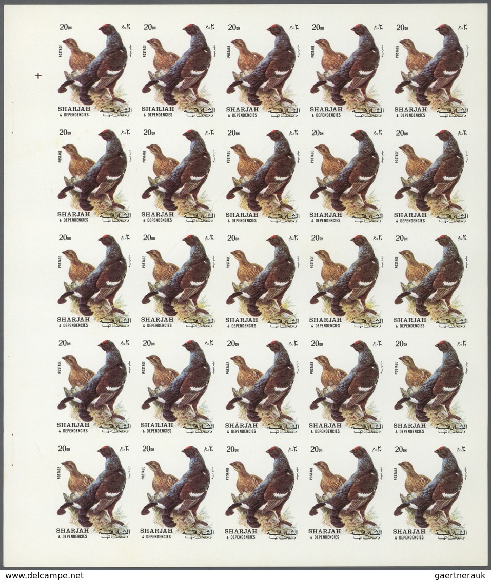 ** Thematik: Tiere-Vögel / Animals-birds: 1972. Sharjah. Progressive Proof (6 Phases) In Complete Sheet - Autres & Non Classés