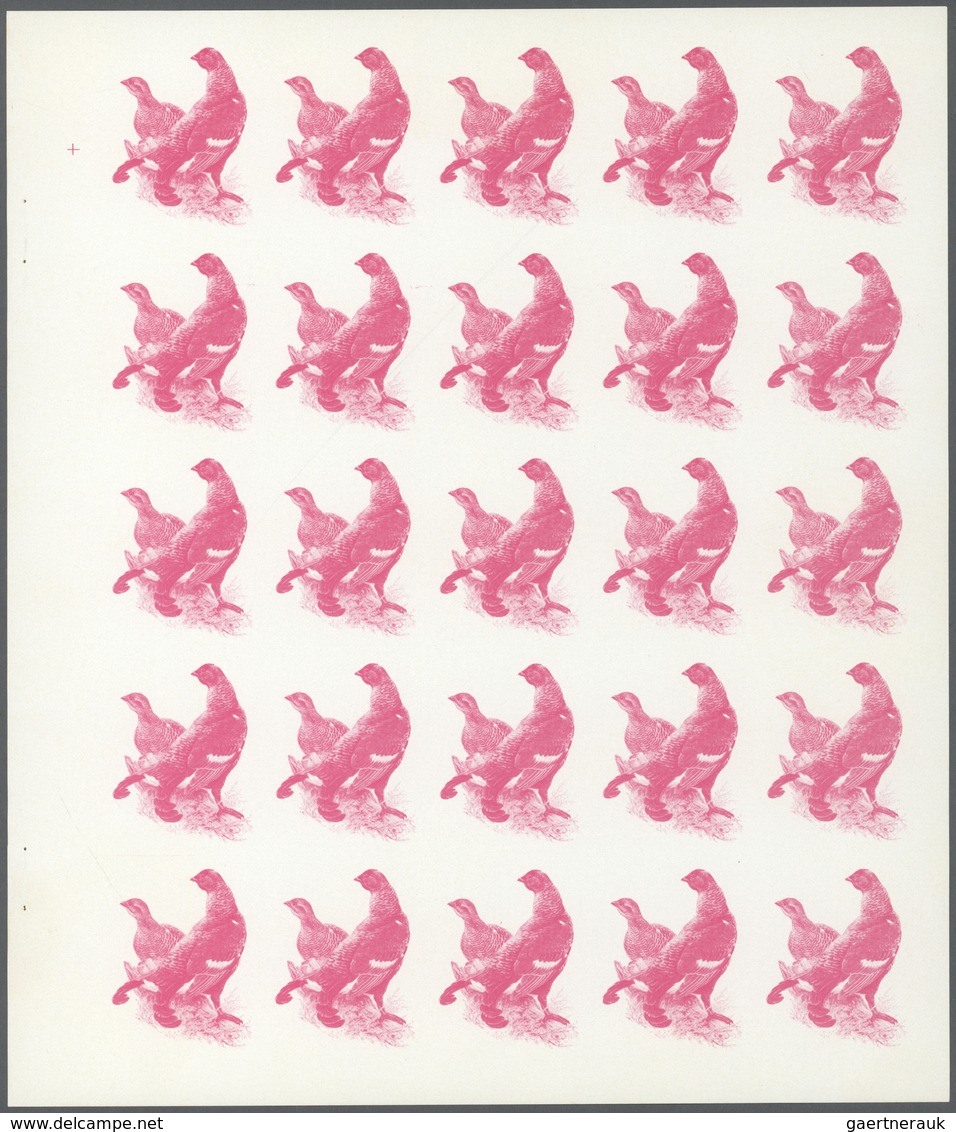 ** Thematik: Tiere-Vögel / Animals-birds: 1972. Sharjah. Progressive Proof (6 Phases) In Complete Sheet - Altri & Non Classificati