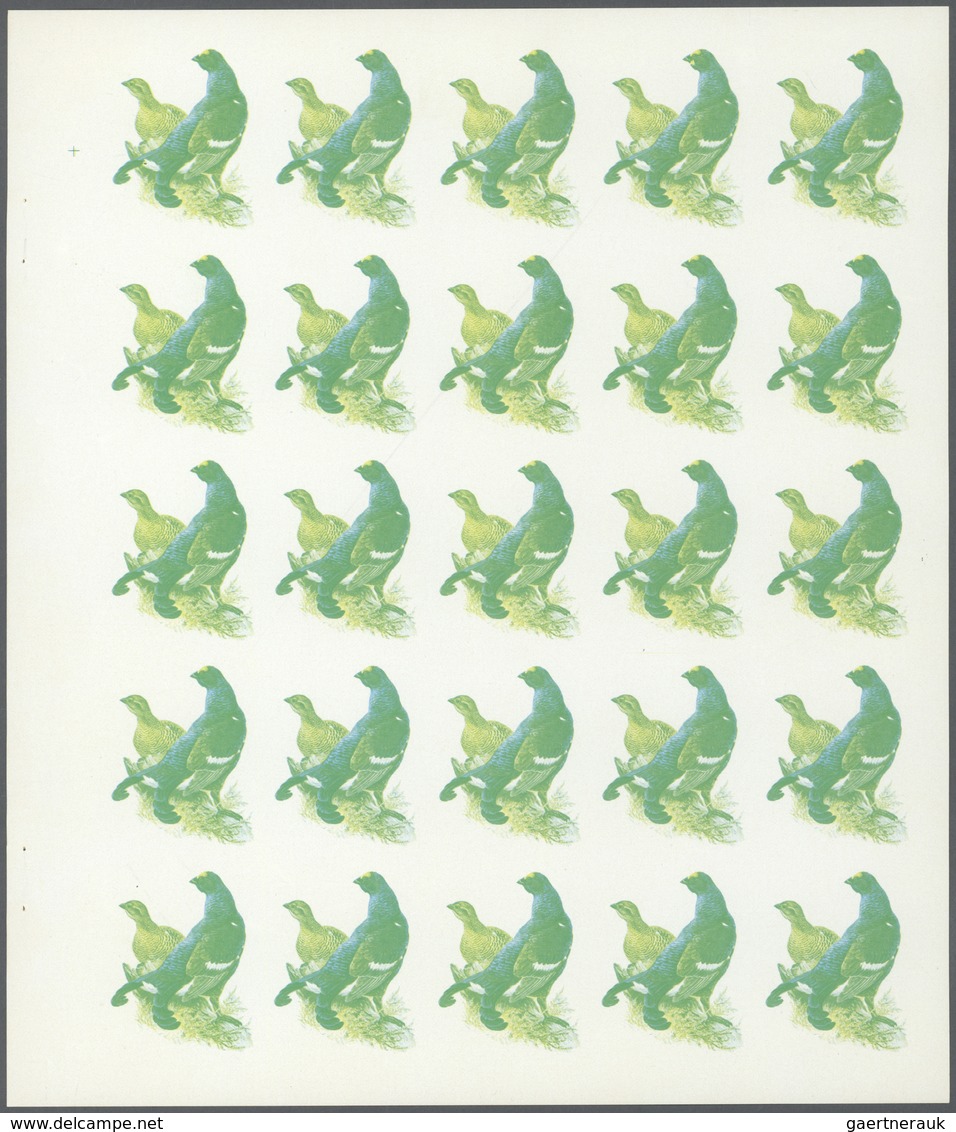 ** Thematik: Tiere-Vögel / Animals-birds: 1972. Sharjah. Progressive Proof (6 Phases) In Complete Sheet - Other & Unclassified