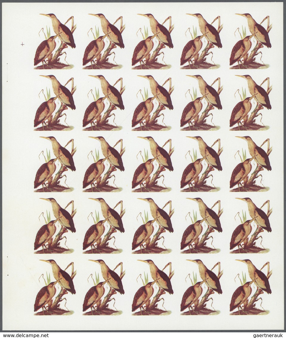 ** Thematik: Tiere-Vögel / Animals-birds: 1972. Sharjah. Progressive Proof (5 Phases) In Complete Sheet - Autres & Non Classés