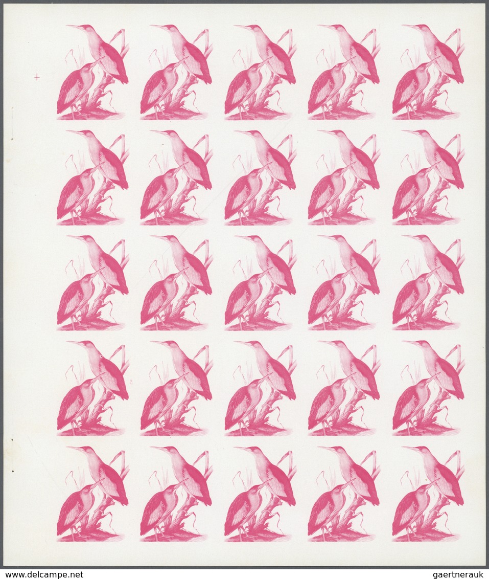 ** Thematik: Tiere-Vögel / Animals-birds: 1972. Sharjah. Progressive Proof (5 Phases) In Complete Sheet - Other & Unclassified