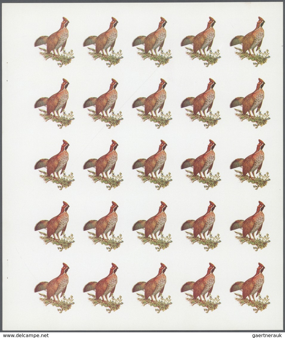 ** Thematik: Tiere-Vögel / Animals-birds: 1972. Sharjah. Progressive Proof (7 Phases) In Complete Sheet - Andere & Zonder Classificatie