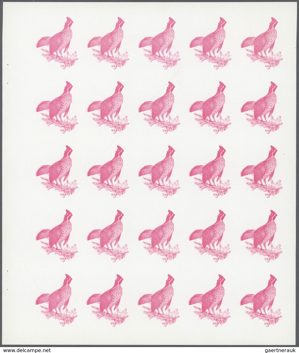 ** Thematik: Tiere-Vögel / Animals-birds: 1972. Sharjah. Progressive Proof (7 Phases) In Complete Sheet - Autres & Non Classés