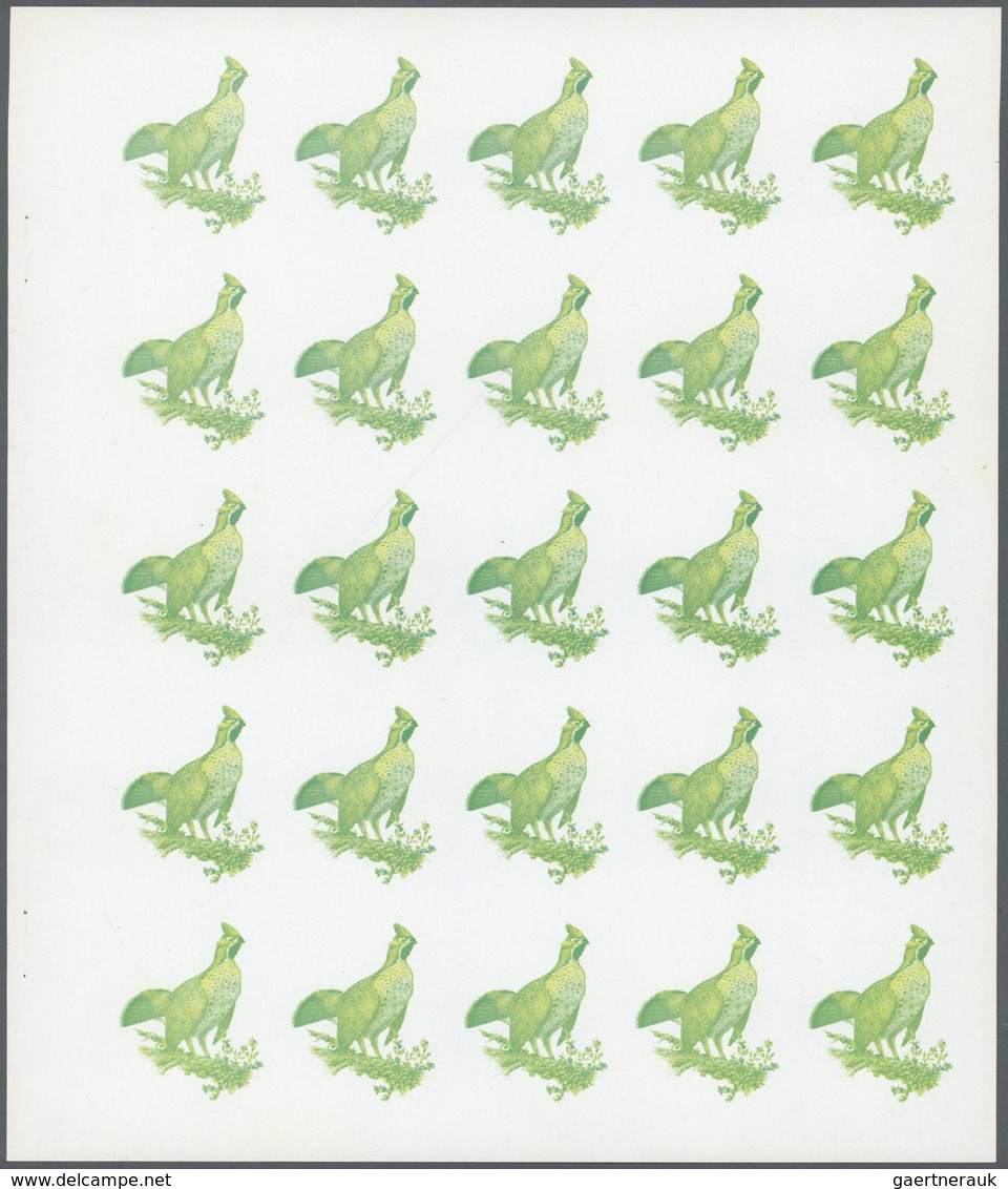 ** Thematik: Tiere-Vögel / Animals-birds: 1972. Sharjah. Progressive Proof (7 Phases) In Complete Sheet - Autres & Non Classés