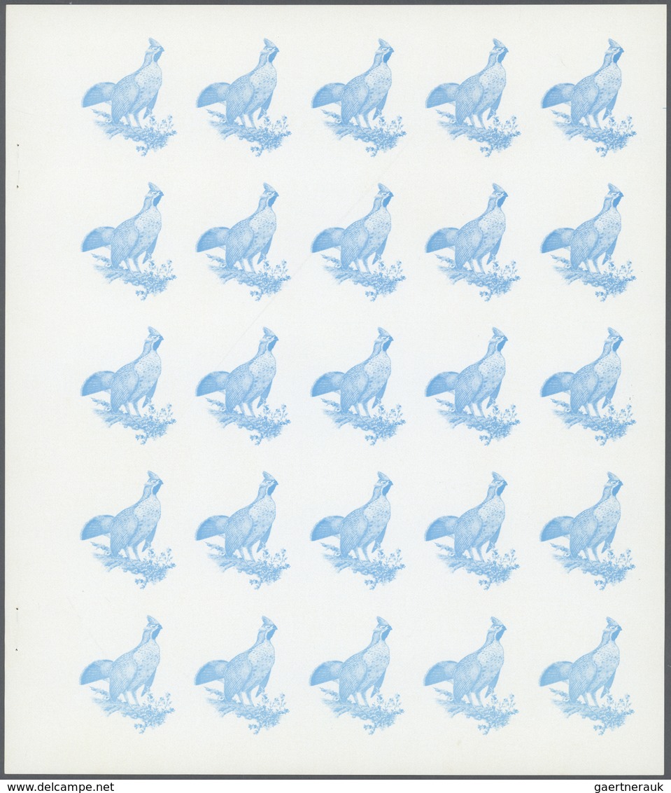 ** Thematik: Tiere-Vögel / animals-birds: 1972. Sharjah. Progressive proof (7 phases) in complete sheet