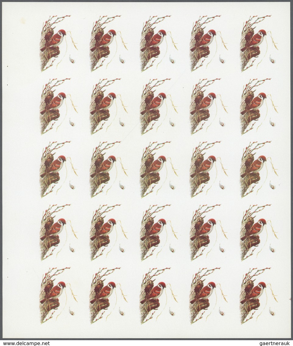 ** Thematik: Tiere-Vögel / Animals-birds: 1972. Sharjah. Progressive Proof (6 Phases) In Complete Sheet - Other & Unclassified