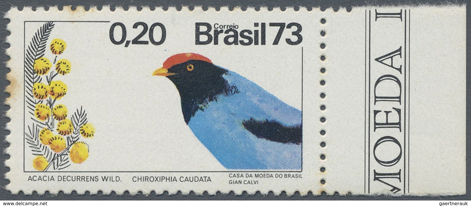 ** Thematik: Tiere-Vögel / Animals-birds: Brasil 1973, 0,20 C. Bird Missing Shadow In Light Blue, Some - Andere & Zonder Classificatie
