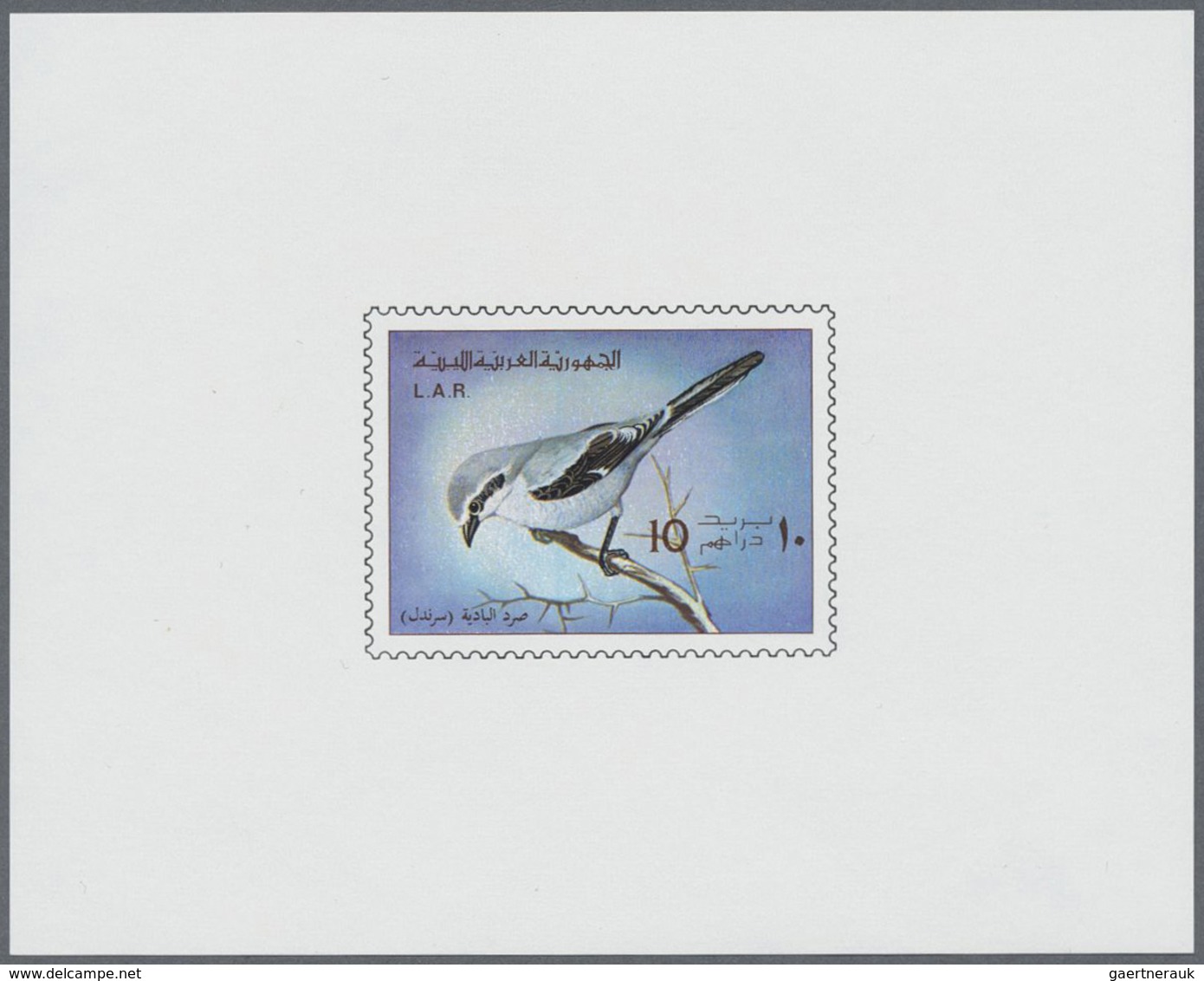 ** Thematik: Tiere-Vögel / Animals-birds: 1976, LIBYA: Definitive Issue 'BIRDS' Complete Set Of Five In - Autres & Non Classés