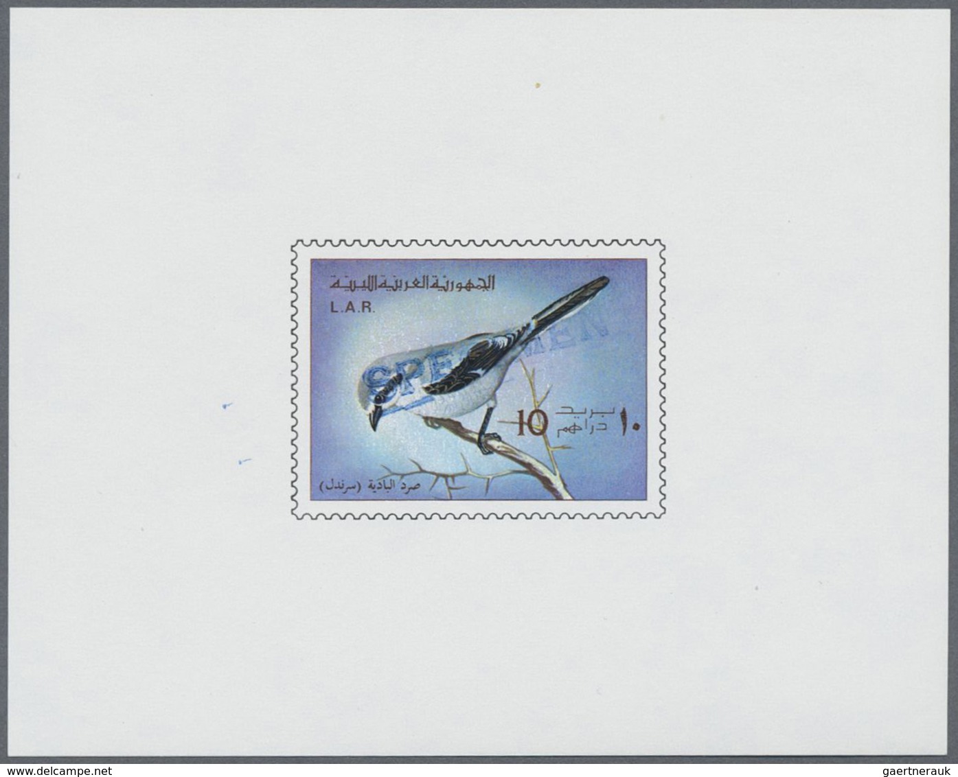 ** Thematik: Tiere-Vögel / Animals-birds: 1976, LIBYA: Definitive Issue 'BIRDS' Complete Set Of Five In - Autres & Non Classés