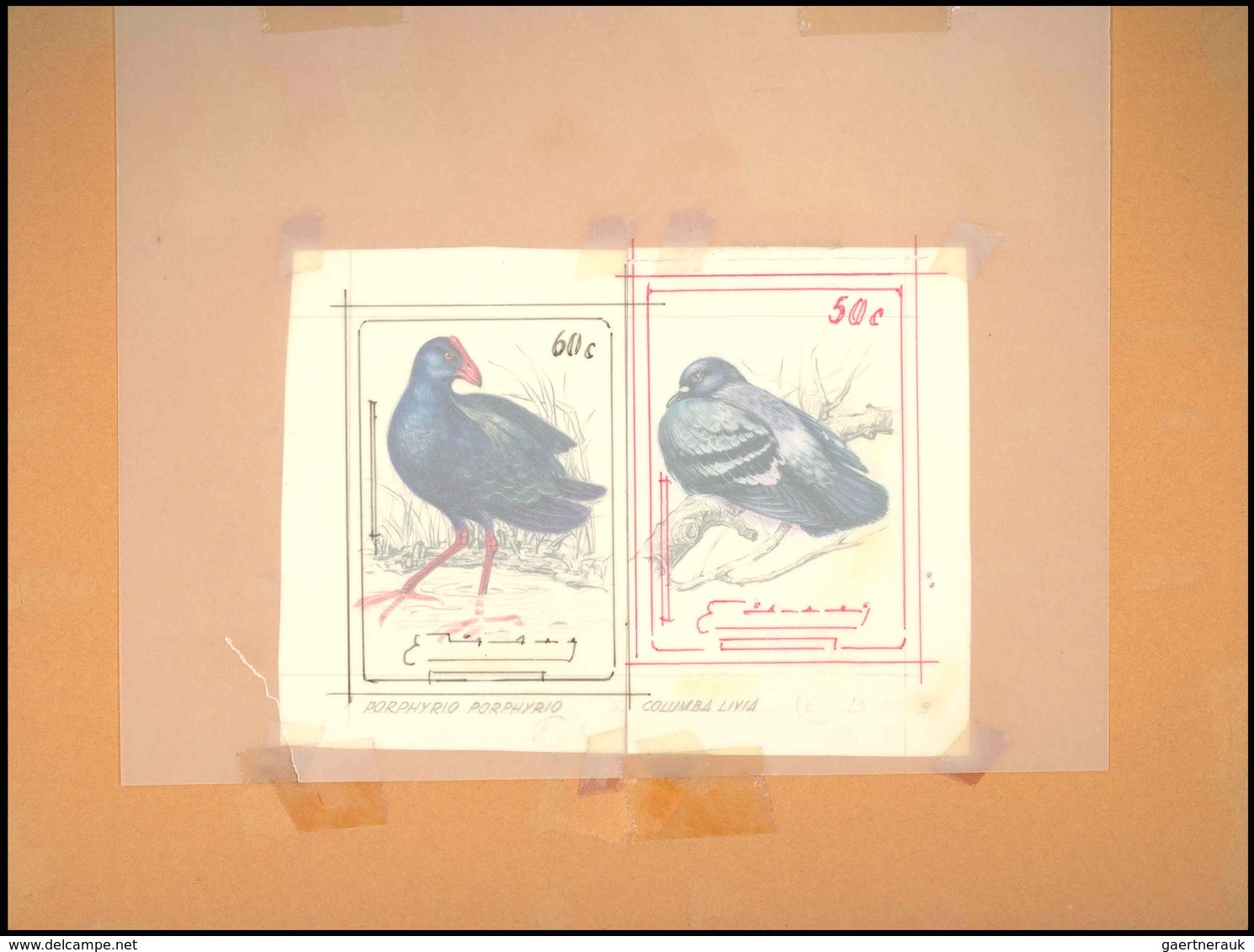 Thematik: Tiere-Vögel / Animals-birds: 1981, Aitutaki: BIRDS, Accepted Drawing "Purpurralle (Porphyr - Other & Unclassified