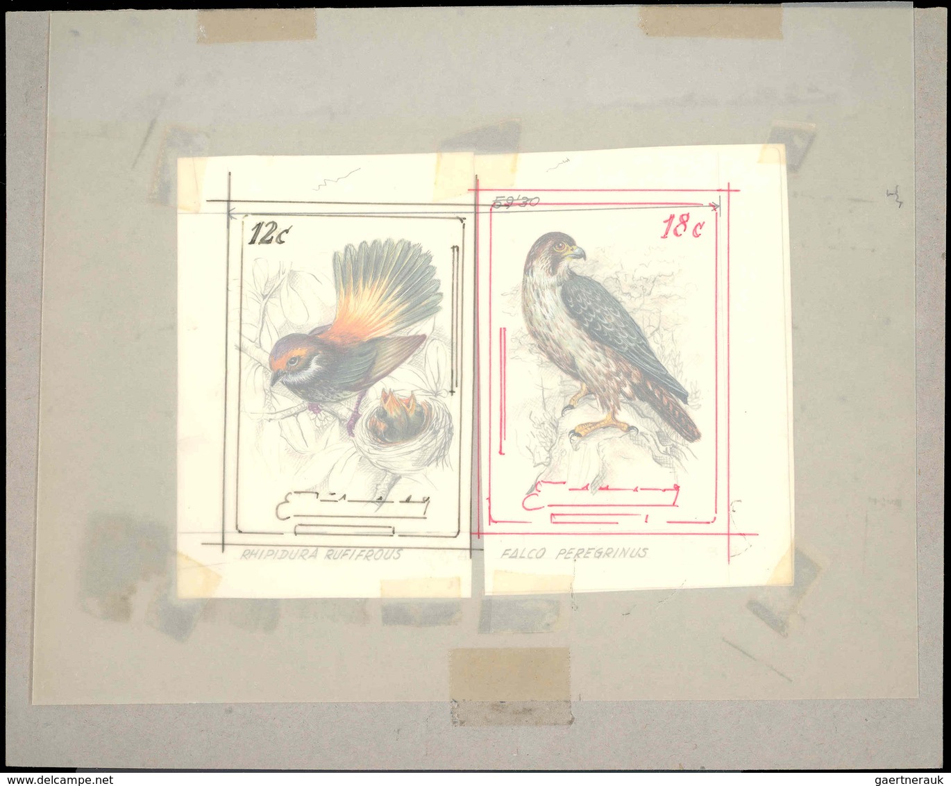 Thematik: Tiere-Vögel / Animals-birds: 1981, Aitutaki: BIRDS, Accepted Drawing "Rotstirfächerschwanz - Autres & Non Classés