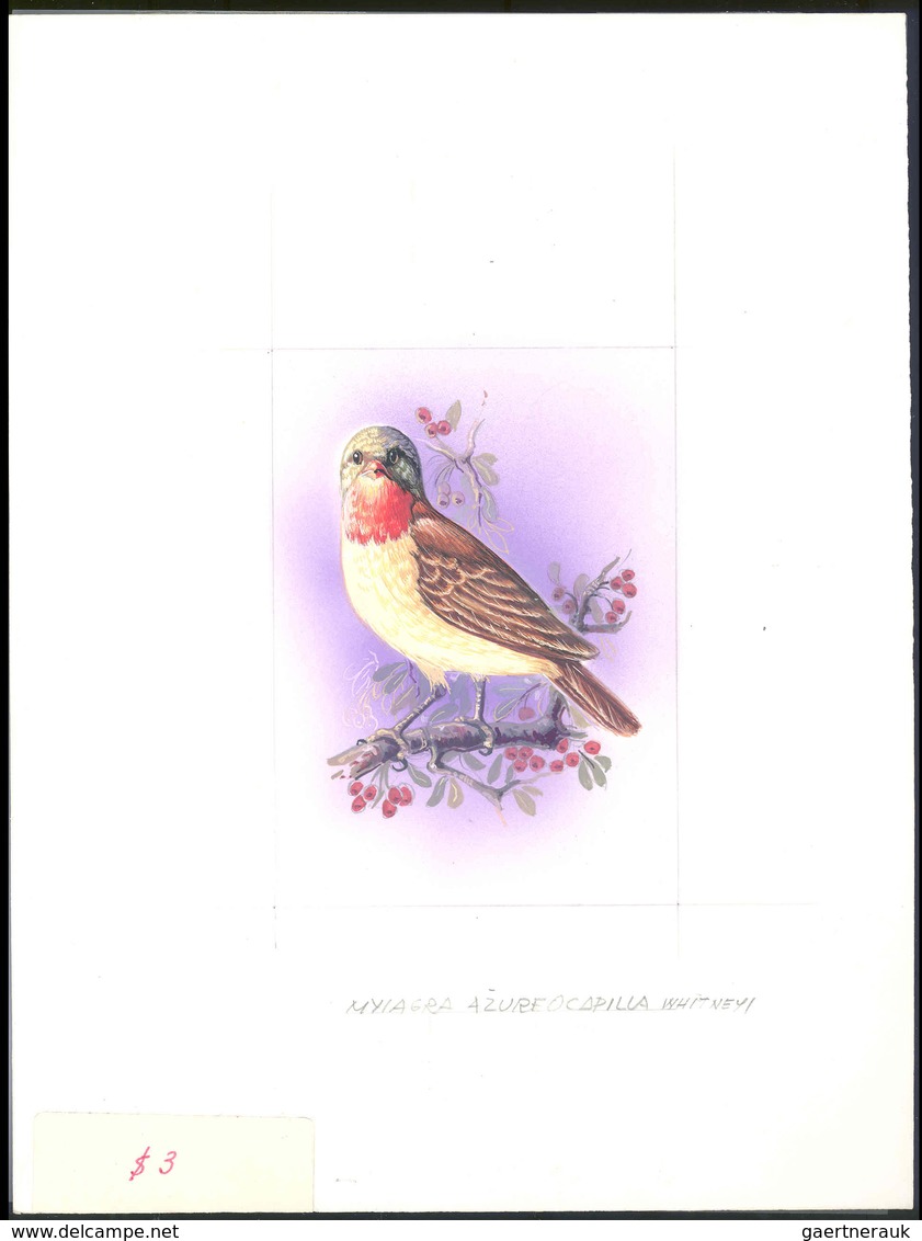 Thematik: Tiere-Vögel / Animals-birds: 1981, Aitutaki: BIRDS, Accepted Drawing "Viti-Levu-Blauschopf - Other & Unclassified
