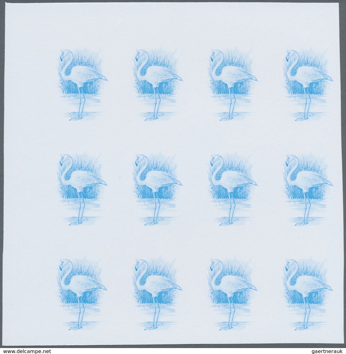 ** Thematik: Tiere-Vögel / animals-birds: 1988, MAROKKO: Birds set of two values 3.60dh. 'Phoenicopteru