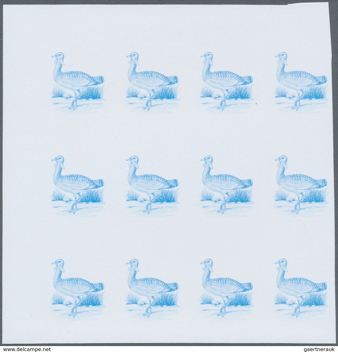 ** Thematik: Tiere-Vögel / animals-birds: 1988, MAROKKO: Birds set of two values 3.60dh. 'Phoenicopteru