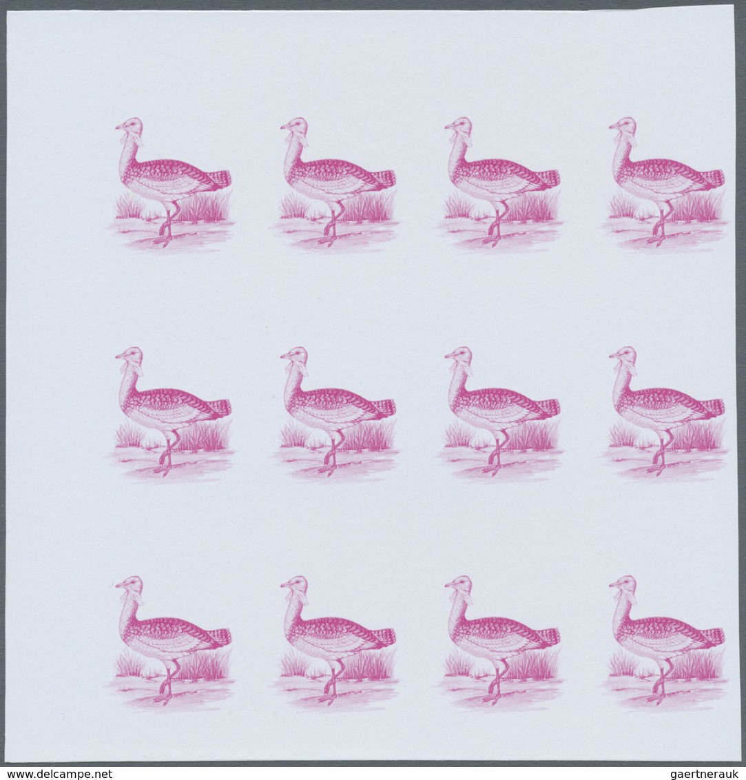 ** Thematik: Tiere-Vögel / animals-birds: 1988, MAROKKO: Birds set of two values 3.60dh. 'Phoenicopteru