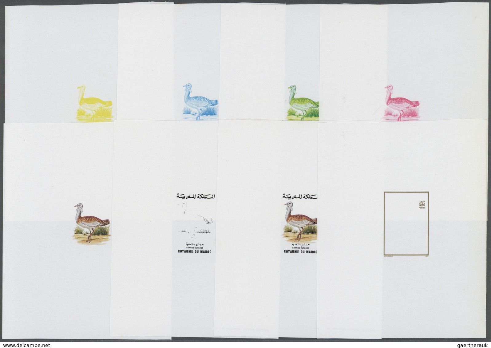 ** Thematik: Tiere-Vögel / Animals-birds: 1988, Marocco, 16 Items, Progressive Plate Proofs Of The Set - Other & Unclassified