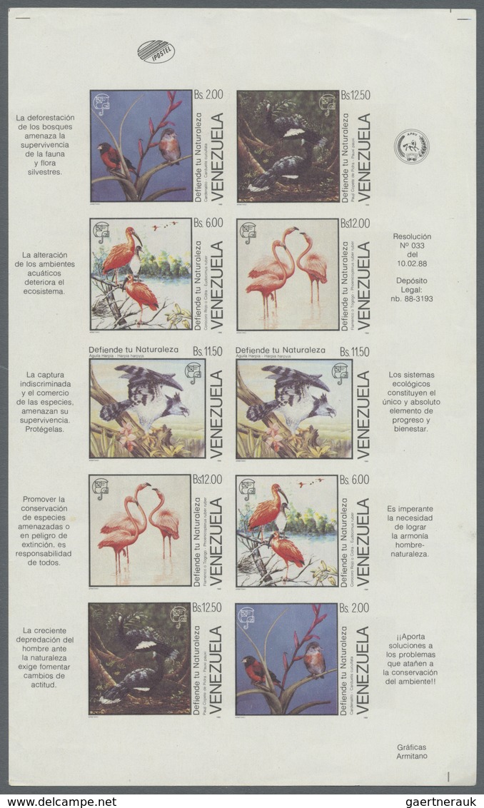 (*) Thematik: Tiere-Vögel / Animals-birds: 1988, Venezuela, Birds (Nature Protection), Imperforate Proof - Other & Unclassified
