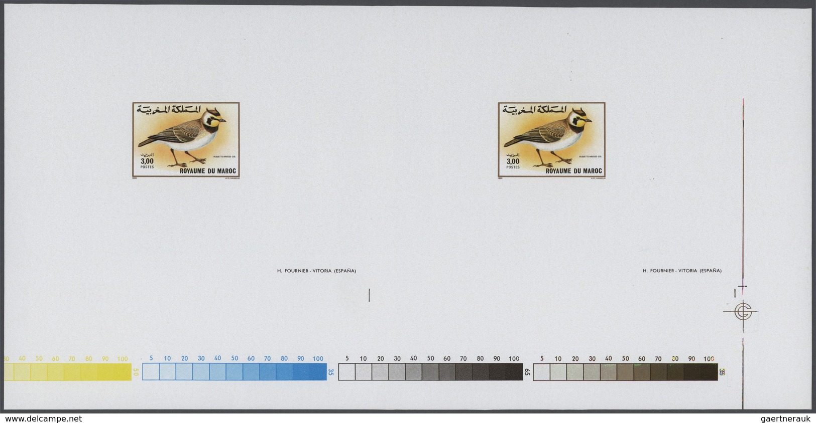 ** Thematik: Tiere-Vögel / Animals-birds: 1989, MAROKKO: Birds 2.00dh. 'Oenanthe Deserti' And 3.00dh. ' - Autres & Non Classés