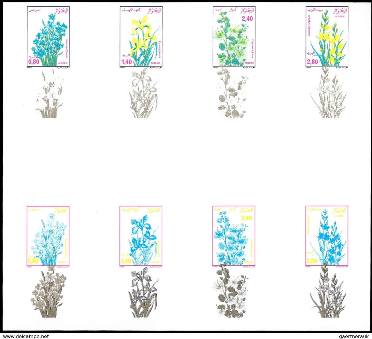 ** Algerien: 1986, FLORA, Narcissus Tazetta, Iris Nguicularis, Capparis Spinosa, Gladiolus Segetum -  1 - Algerije (1962-...)