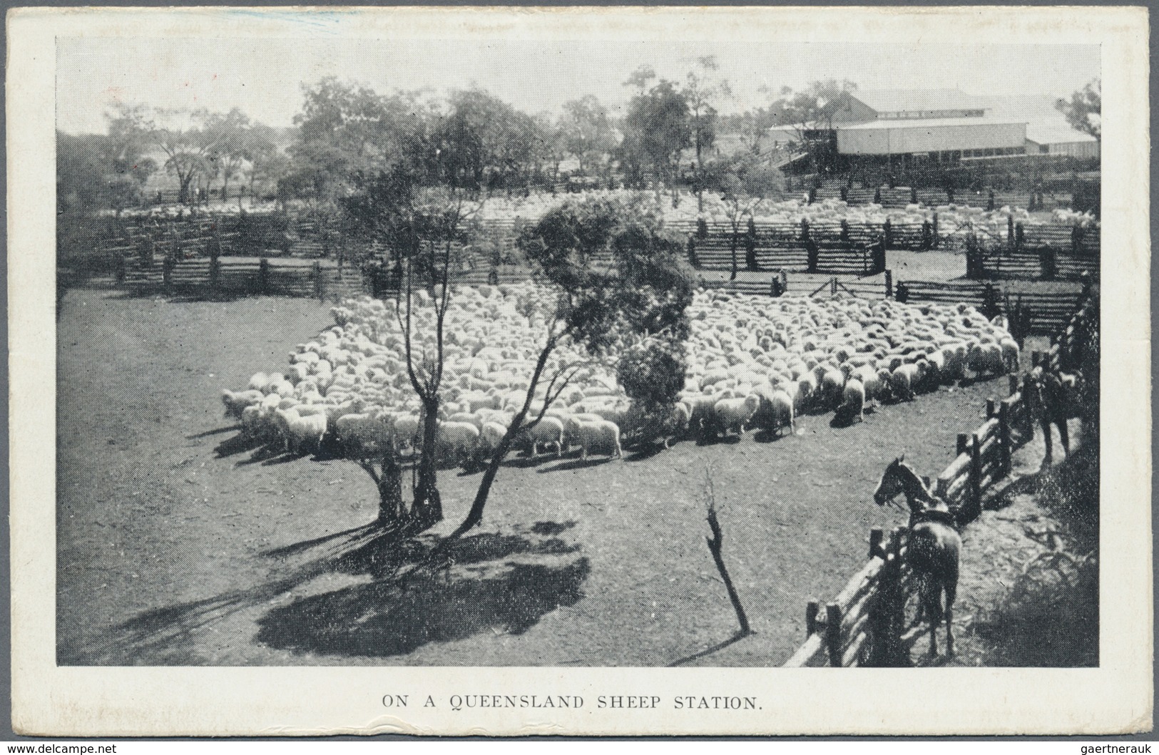 GA Queensland - Ganzsachen: 1910, Pictorial Stat. Postcard QV 1d. Red With Black/white Picture On Rever - Lettres & Documents