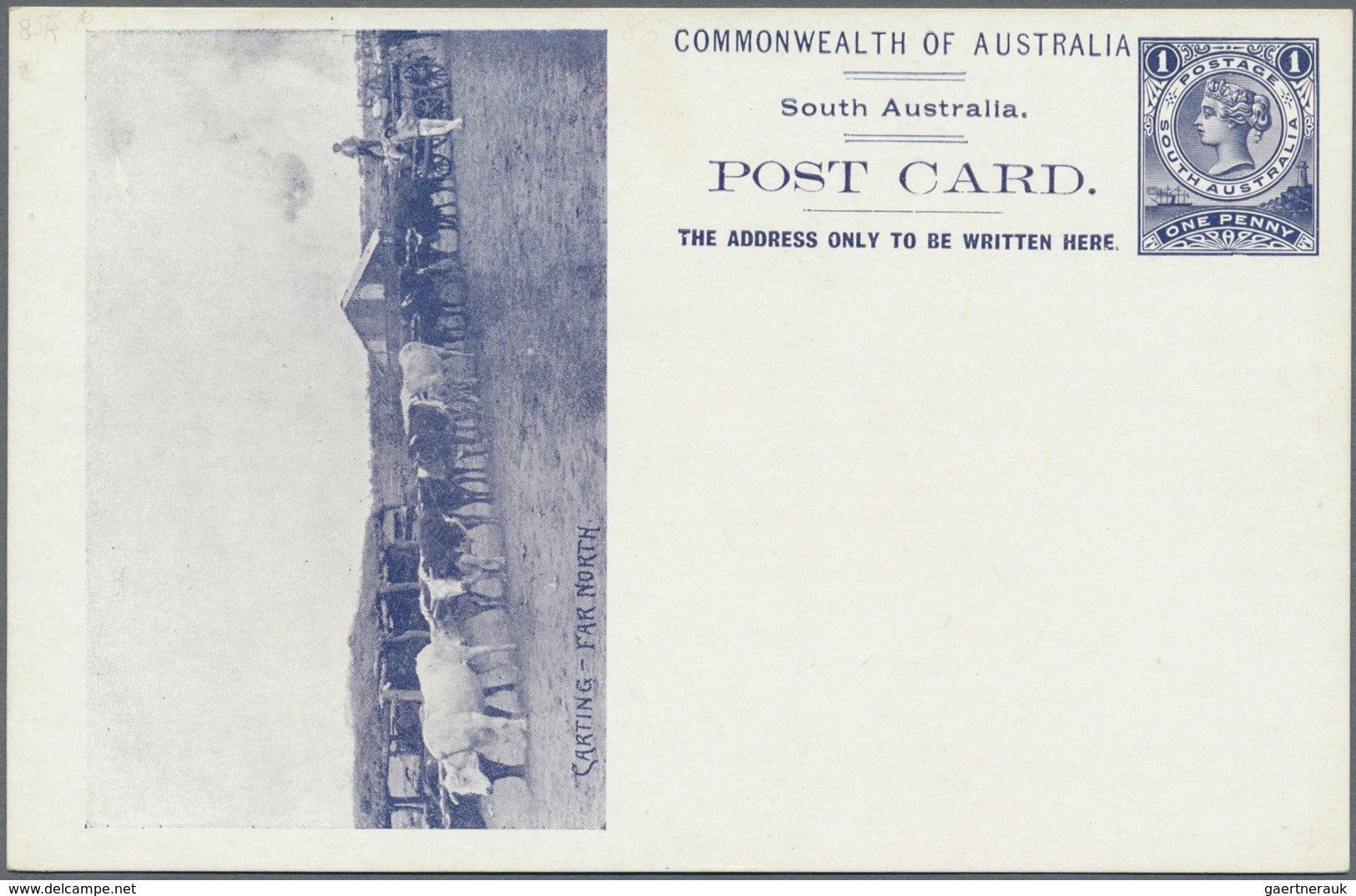 GA Südaustralien: 1908, Pictorial Stat. Postcard QV 1d. (Melb. Ptg.) With View 'CARTING - FAR NORTH' (O - Brieven En Documenten