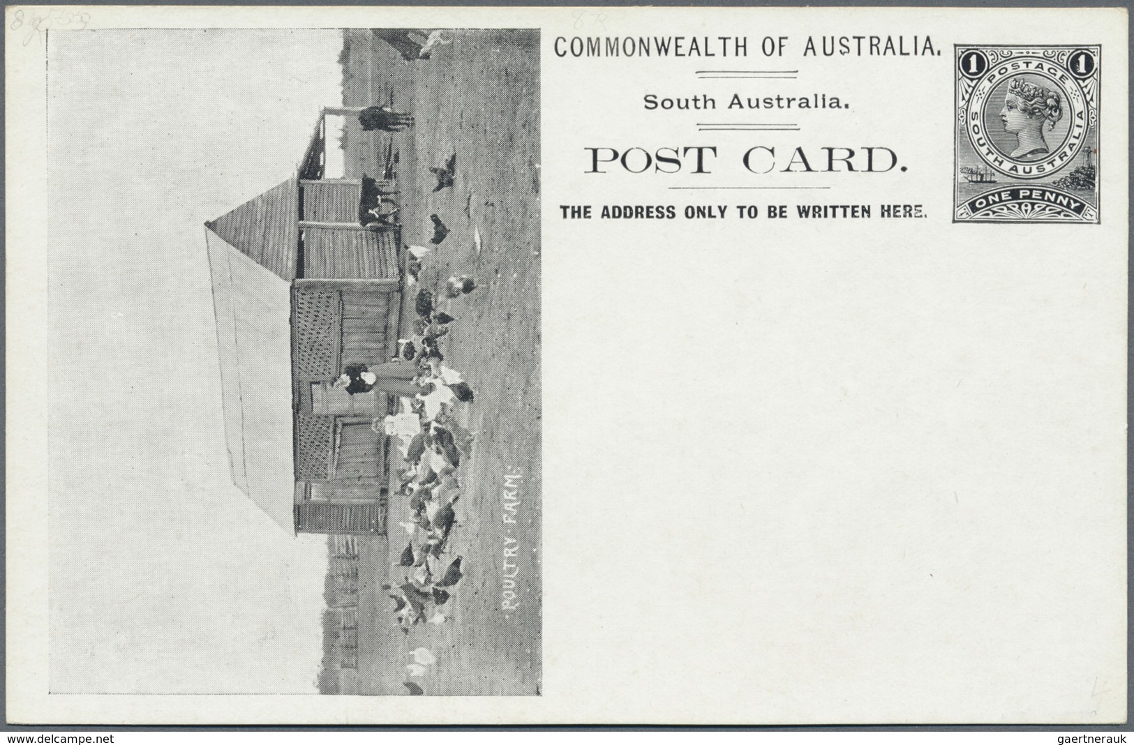 GA Südaustralien: 1908, Pictorial Stat. Postcard QV 1d. (Adel. Ptg.) With View 'POULTRY FARM' In Black, - Brieven En Documenten