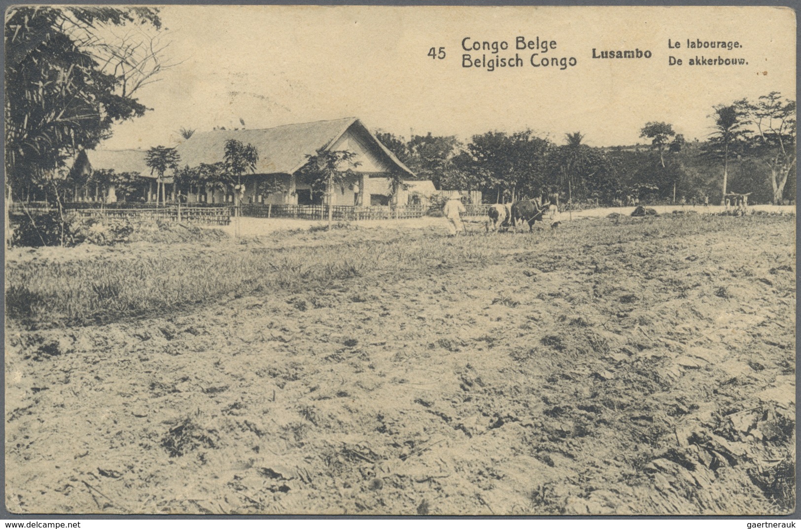 GA Belgisch-Kongo: 1917, 10 C. Postal Stationery Picture Card (dated Hospital Dadoma 17.11.) With Field - Autres & Non Classés