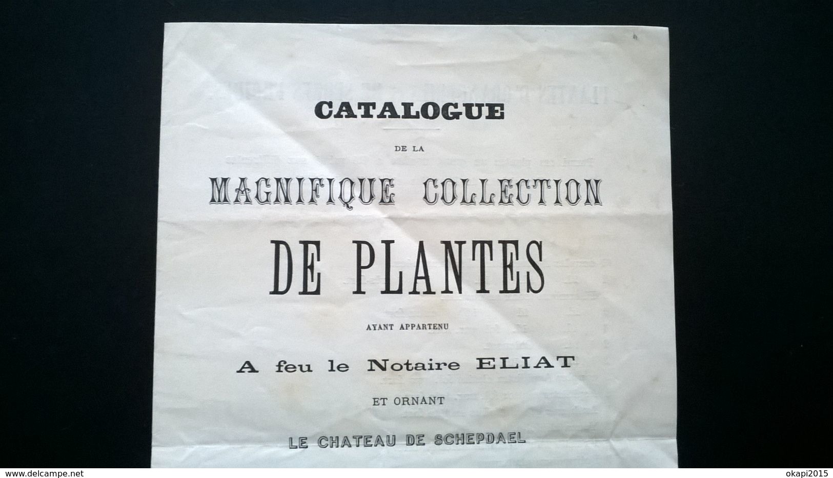 CATALOGUE DES PLANTES DU NOTAIRE ELIAT ET ORNANT LE CHÂTEAU DE SCHEPDAEL VENTE PUBLIQUE AU CHÂTEAU LE 1889. Belgique. - Autres & Non Classés