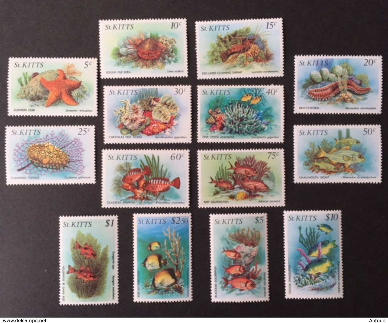 St. Kitts 1984 Marine Life  POSTAGE FEE TO BE ADDED ON ALL ITEMS - Oceania (Other)