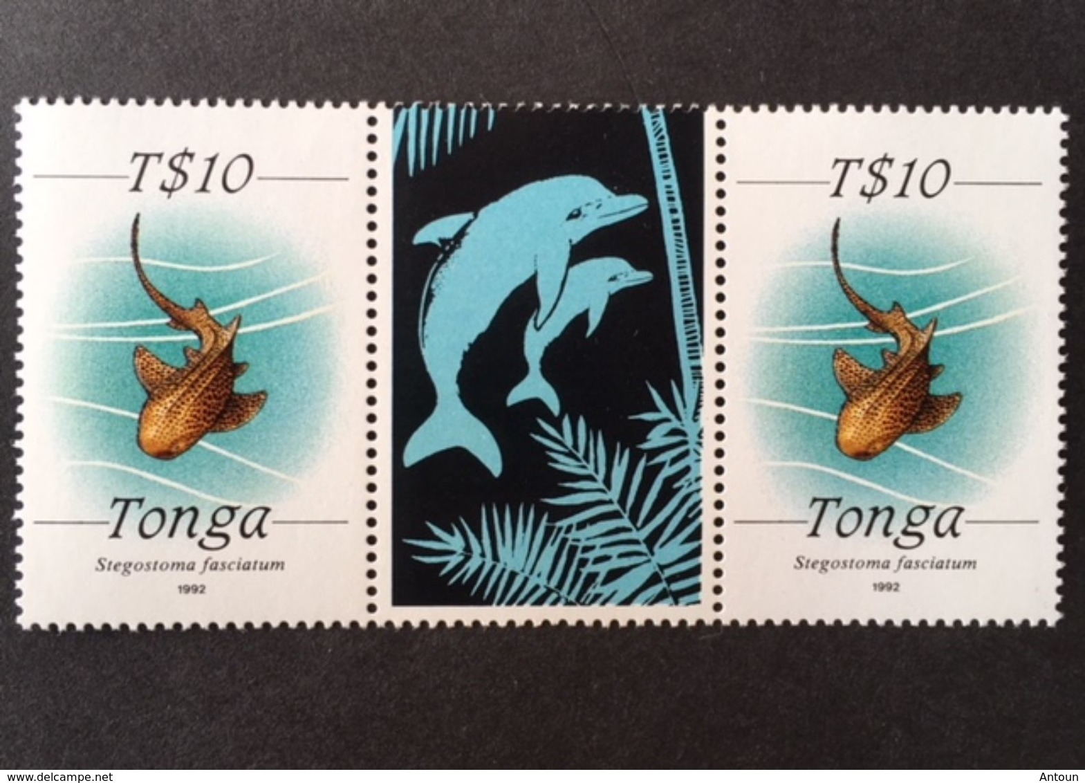 Tonga 1992 Def. Gutter Pair - Tonga (1970-...)