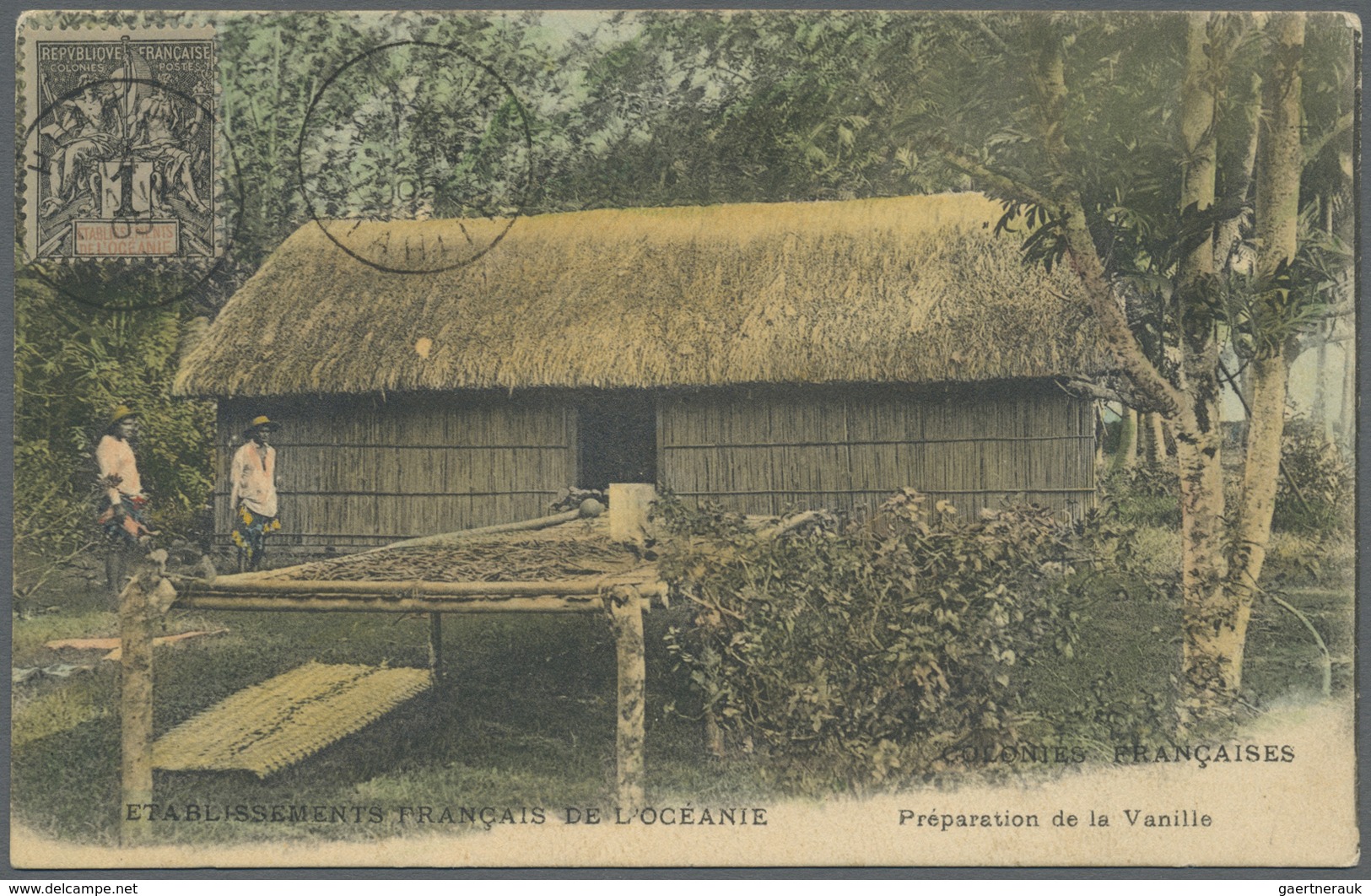 Br Tahiti: 1905. Picture Post Card Addressed To France Of 'Preparation De Ia Vanille' Bearing Oceanie Y - Tahiti