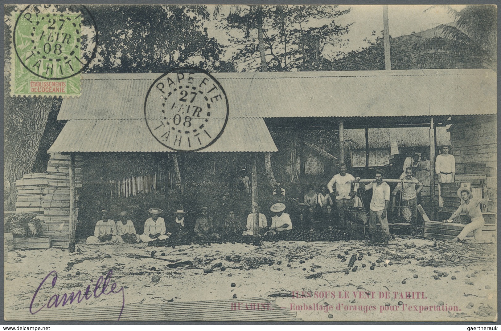 Br Tahiti: 1908. Picture Post Card Of 'Emballage D'oranges Pour L'exportation, Iles Sous Le Vent' Addre - Tahiti