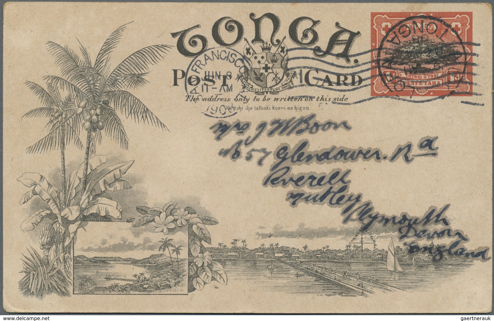 GA Tonga: 1908, Pictorial Stat. Postcard 1d. Native Tree Used From NUKUALOFA To England With Transitmar - Tonga (...-1970)