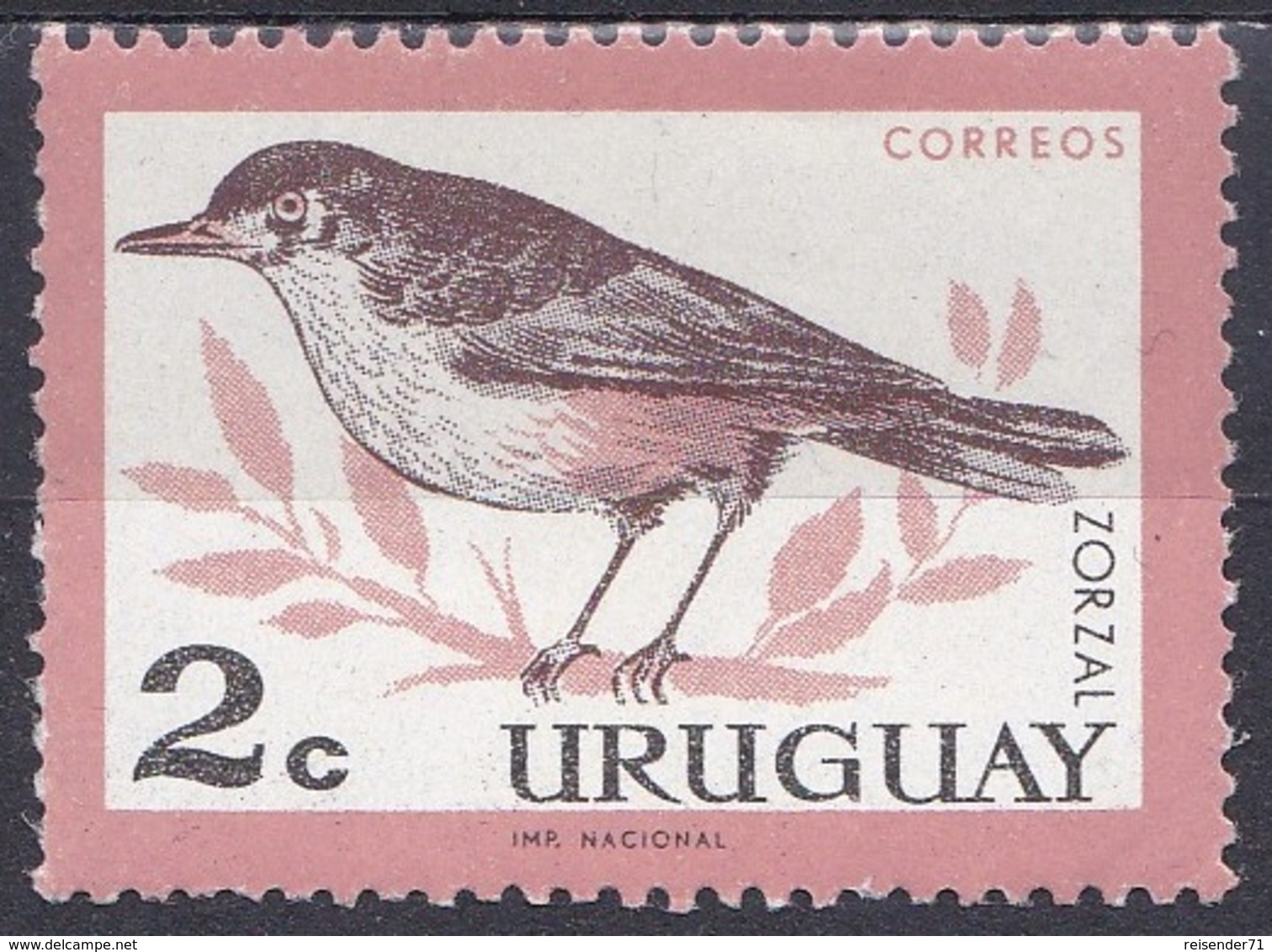 Uruguay 1963 Tiere Fauna Animals Vögel Birds Oiseaux Pajaro Uccelli Drossel, Mi. 955 ** - Uruguay