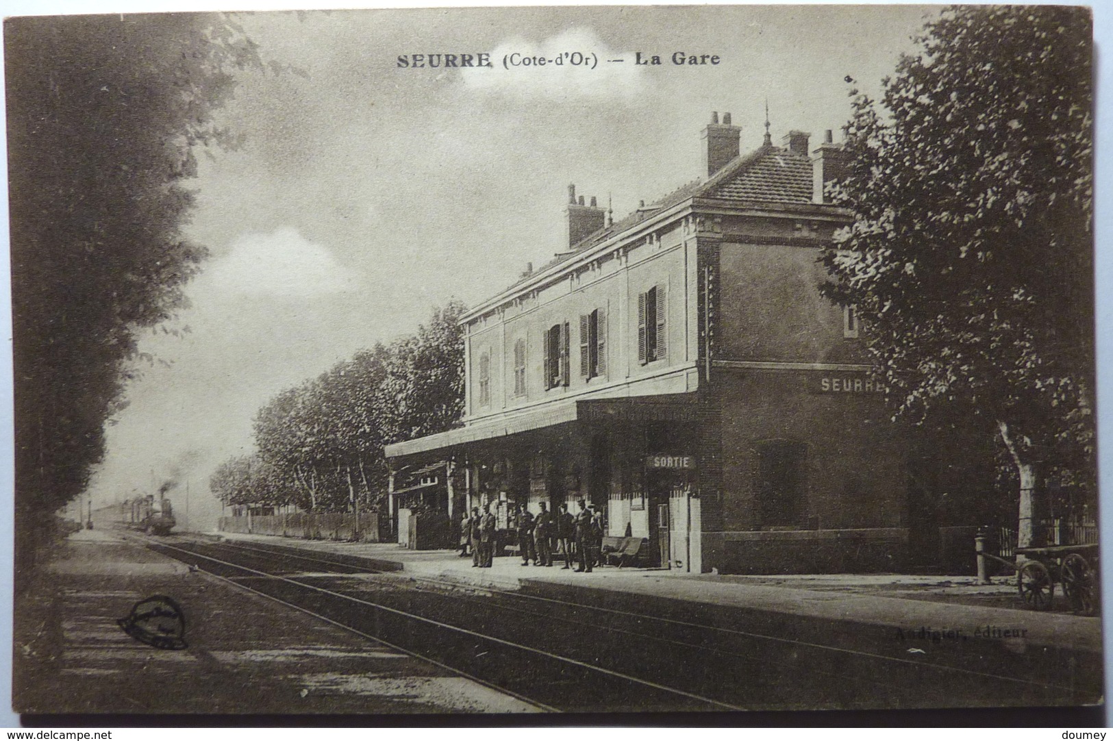 LA GARE - SEURRE - Autres & Non Classés