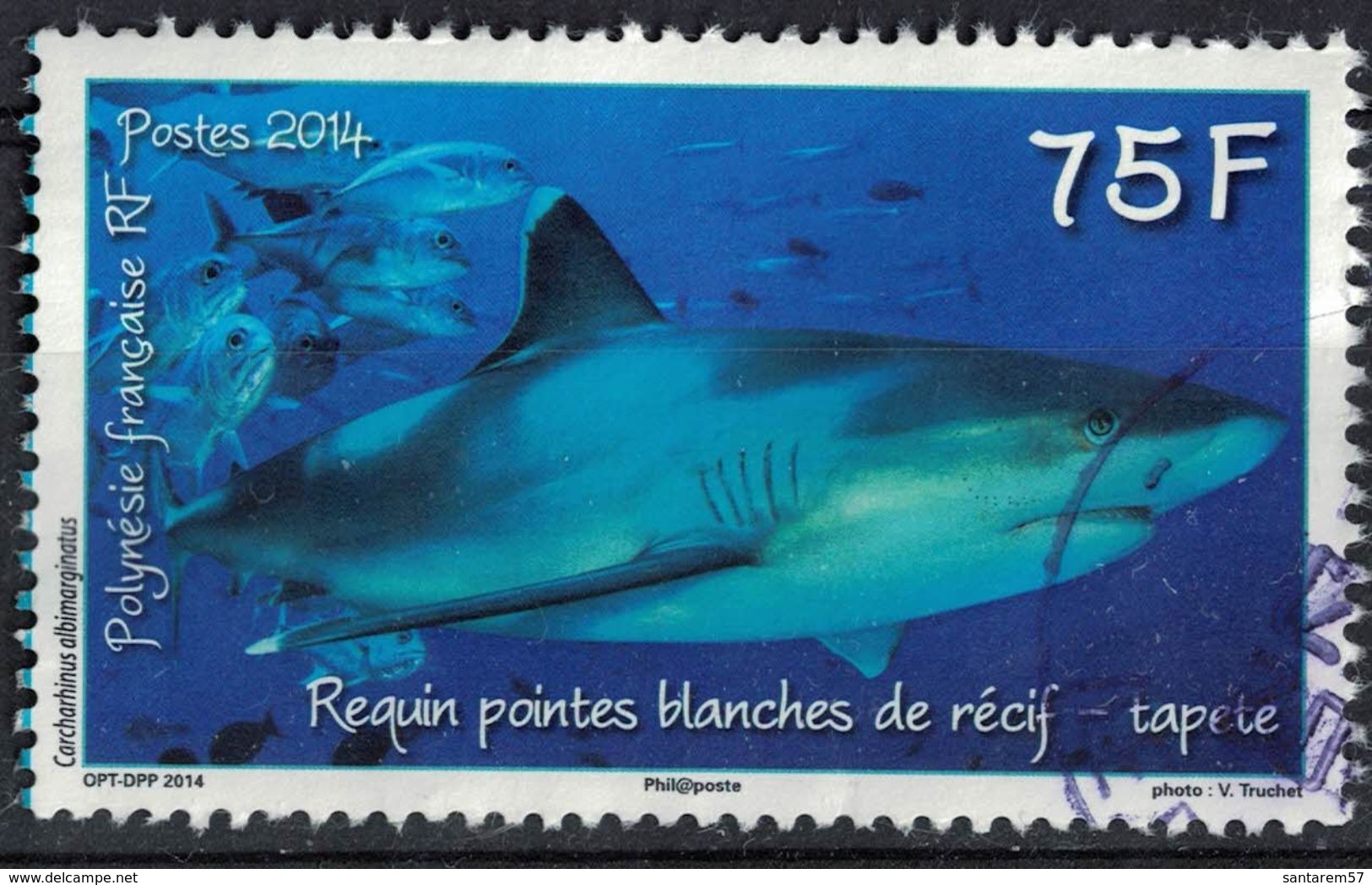 Tahiti 2014 Oblitéré Rond Used Requin Pointes Blanches De Récif Tapete SU - Tahiti