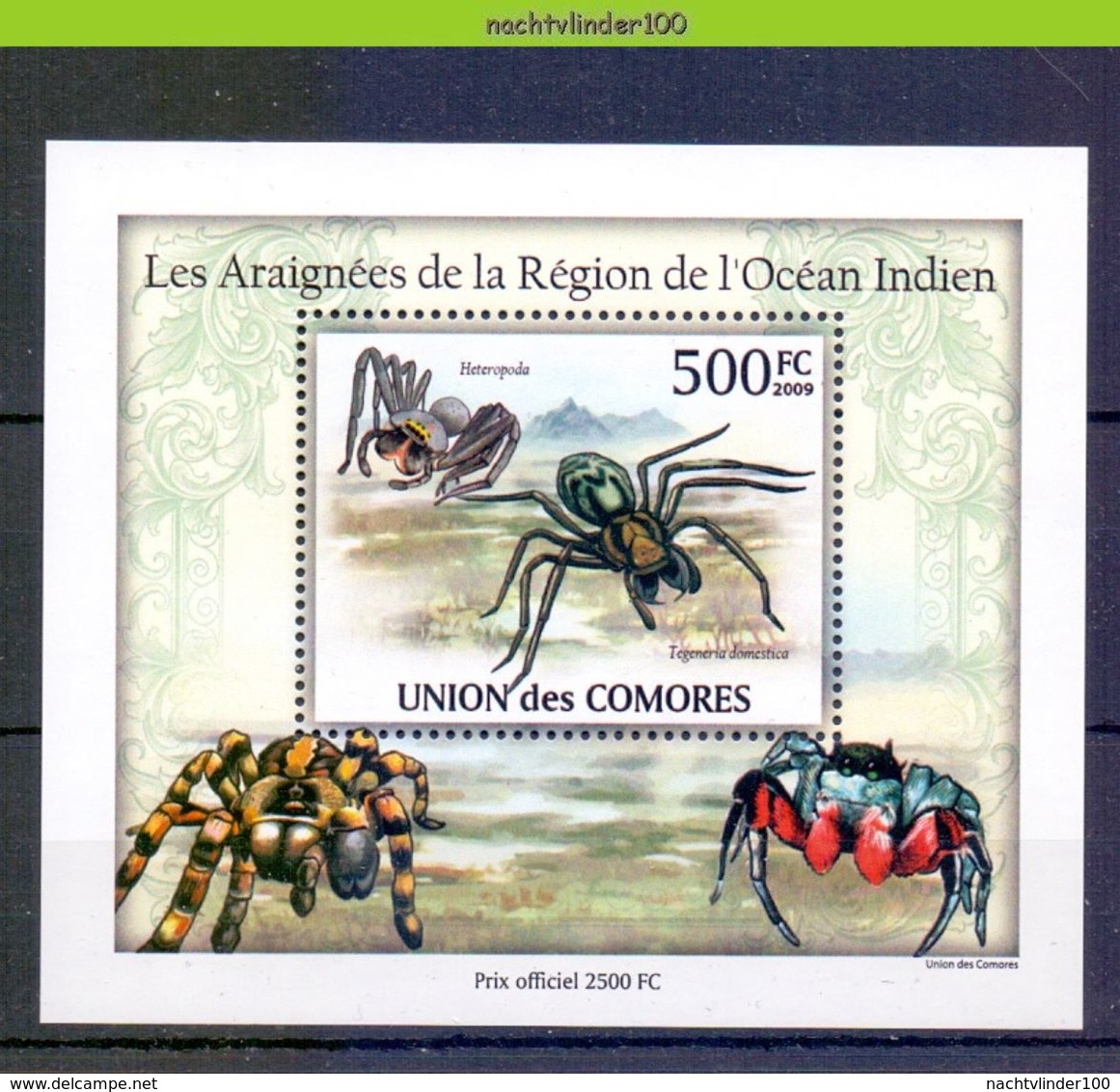 Nep019b  4 Einzelblocks FAUNA SPINNEN GELEEDPOTIGEN 'INSECTEN INSECTS' SPIDERS SPINNENTIERE COMORES 2009 PF/MNH # - Spiders