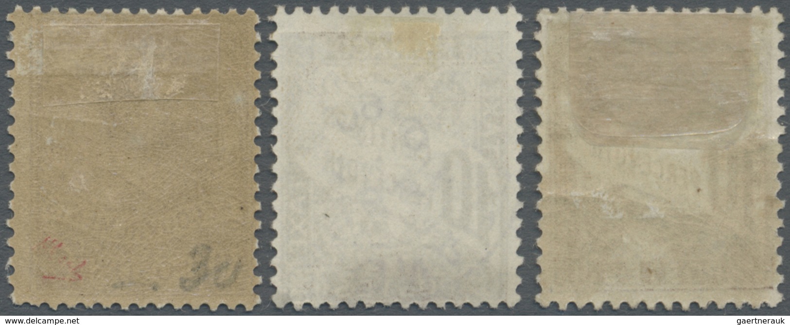 */O Monaco - Portomarken: 1909/1911, 10 C Dark Brown Unused + Cancelled And 30 C Yellow Brown Rest Of Mi - Postage Due