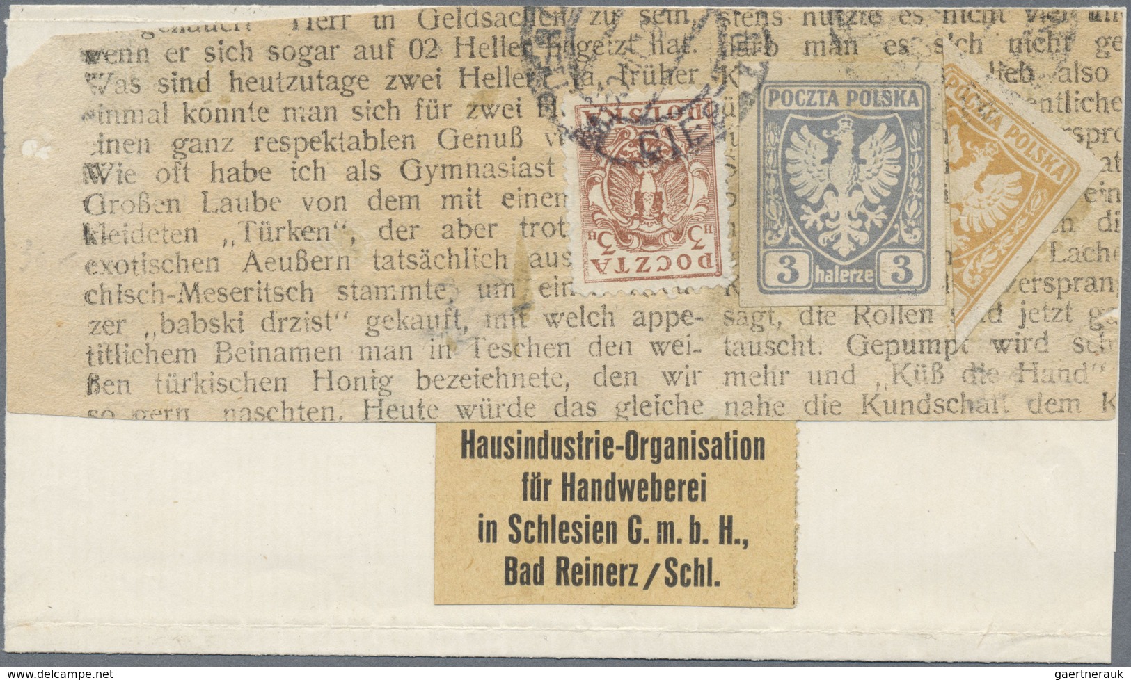 Brfst Polen: 1919, Piece Of Newspaper Franked With 3 H Large Eagle, 3 H Small Eagle And Diagonal Bisected - Brieven En Documenten