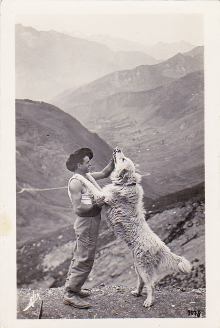 Le Tourmalet - Chien De Montagne - Cachet Refuge Du Col Du Tourmalet Chez Joseph - Autres & Non Classés