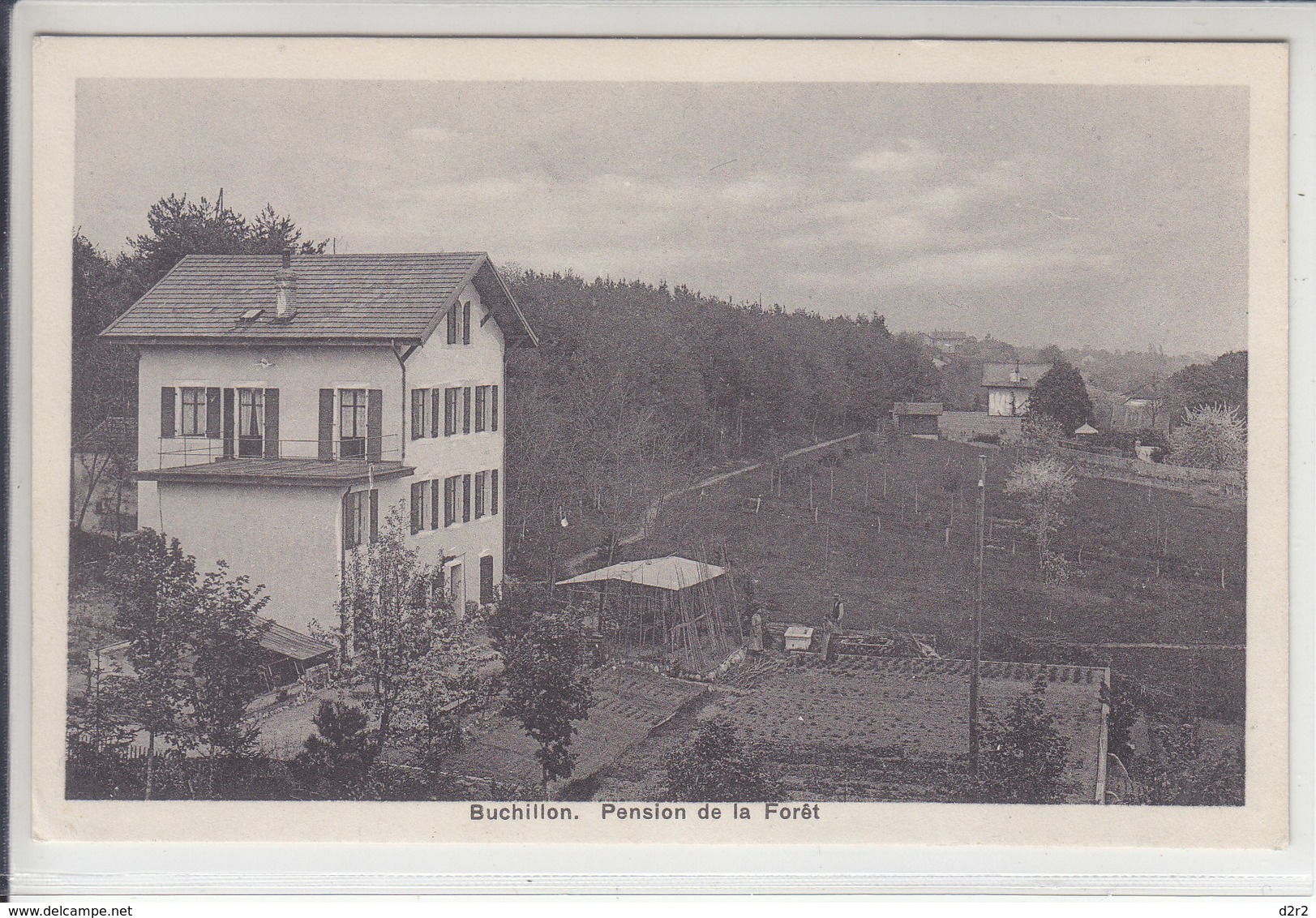 BUCHILLON - PENSION DE LA FORÊT - N/C - Buchillon