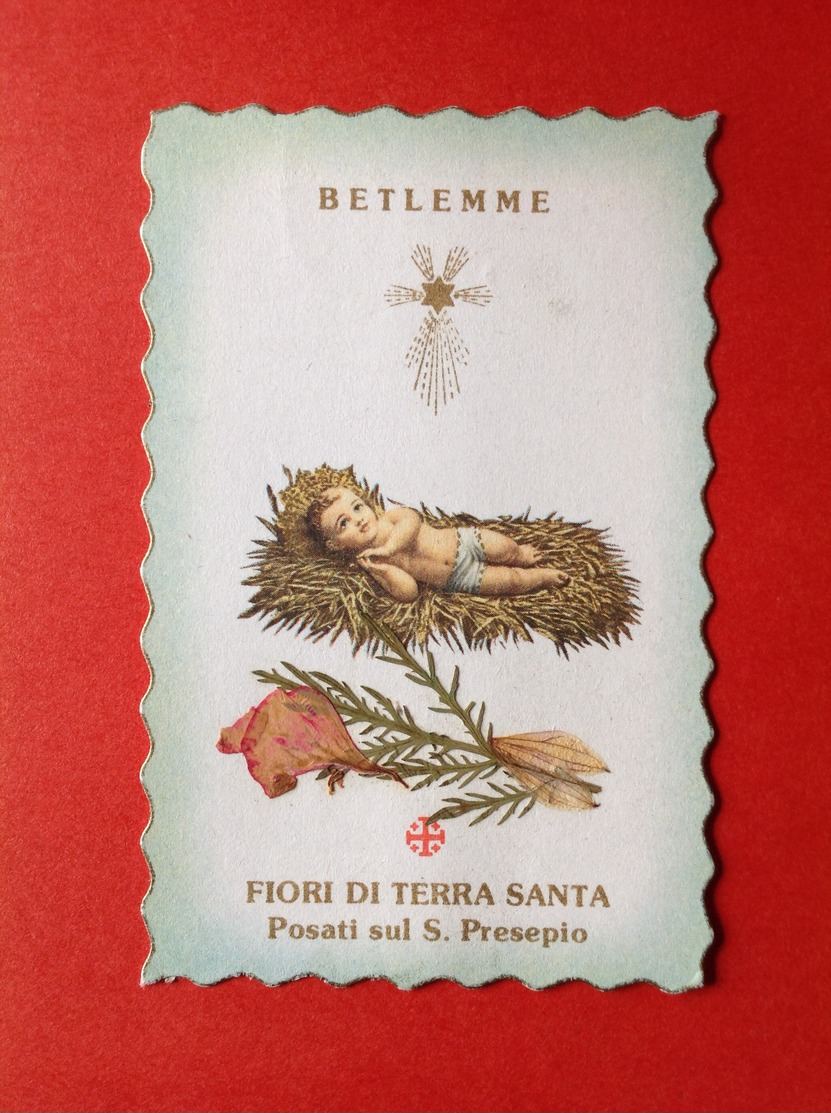 GEDROOGDE BLOEMEN UIT BETHLEHEM - FIORI DI TERRA SANTA - IMAGE PIEUSE - HOLY CARD - BIDPRENTJE - GNADENBILD - Devotieprenten